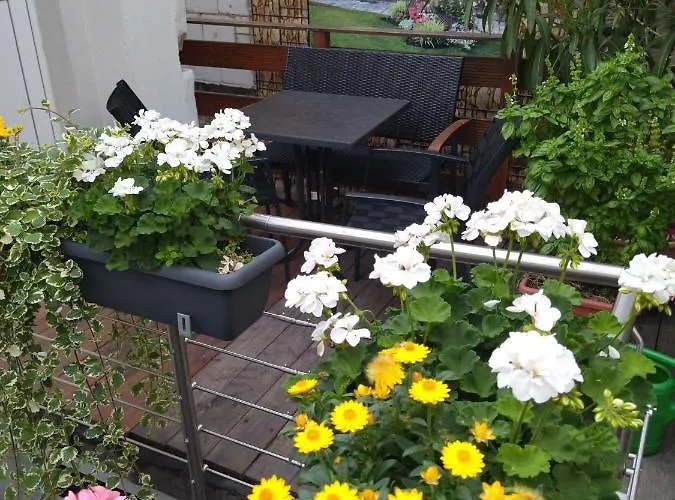 Ferienhaeuschen Am Heumarkt * Deidesheim